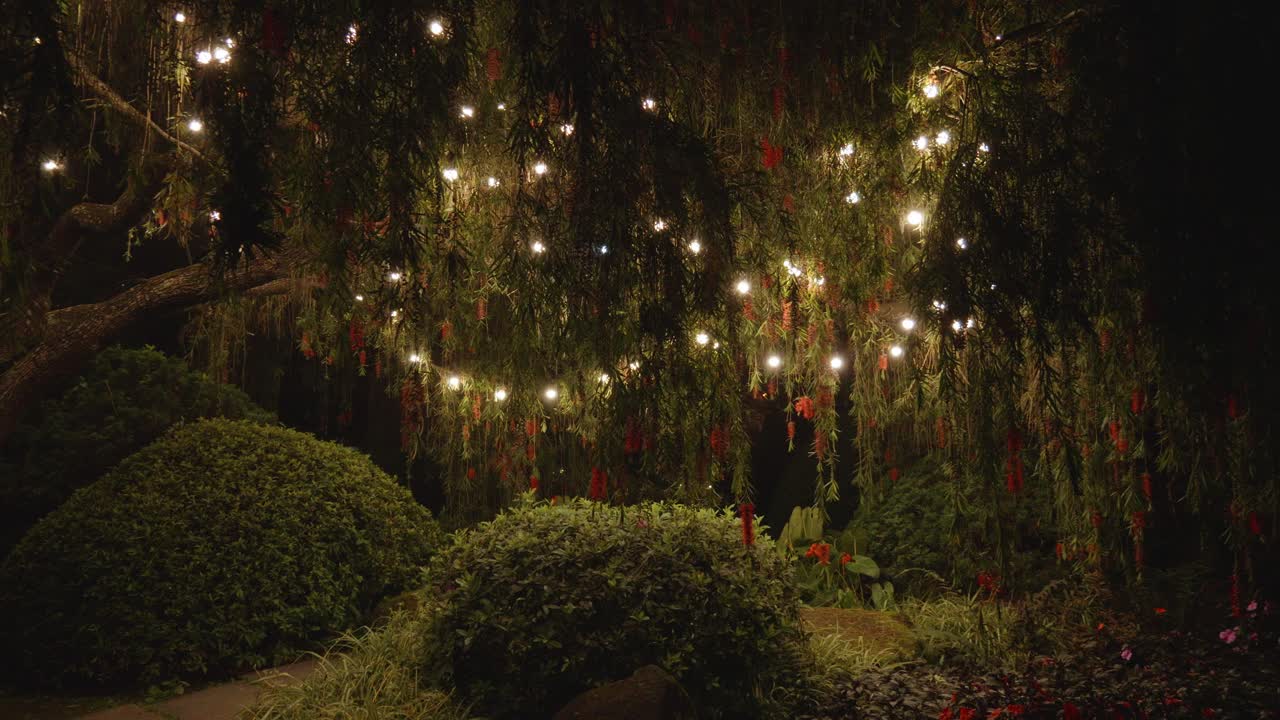 árboles en la noche cubiertos de luces, creando un ambiente hermoso y encantador