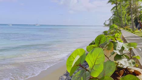 Handheld-Ansicht-Der-Gasse-Am-Playa-Punta-Popy-Mit-Segelbooten-Im-Hintergrund,-Las-Terrenas-In-Der-Dominikanischen-Republik