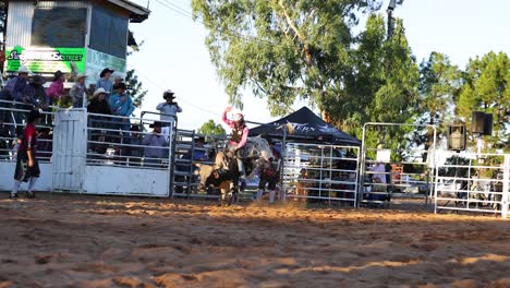 bull rider competes at a lively outdoor rodeo