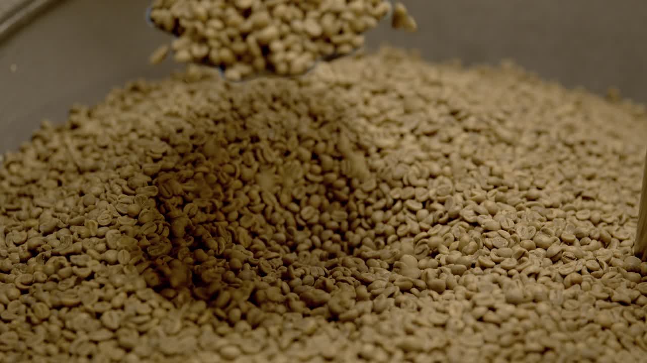 persona que comprueba la calidad de los granos de café crudos con un objeto metálico, cierra la toma en cámara lenta