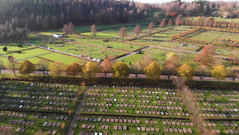 Sobrevuelo-Aéreo-Pacífico-Kviberg-Cementerio-Con-Coloridos-árboles-En-Otoño