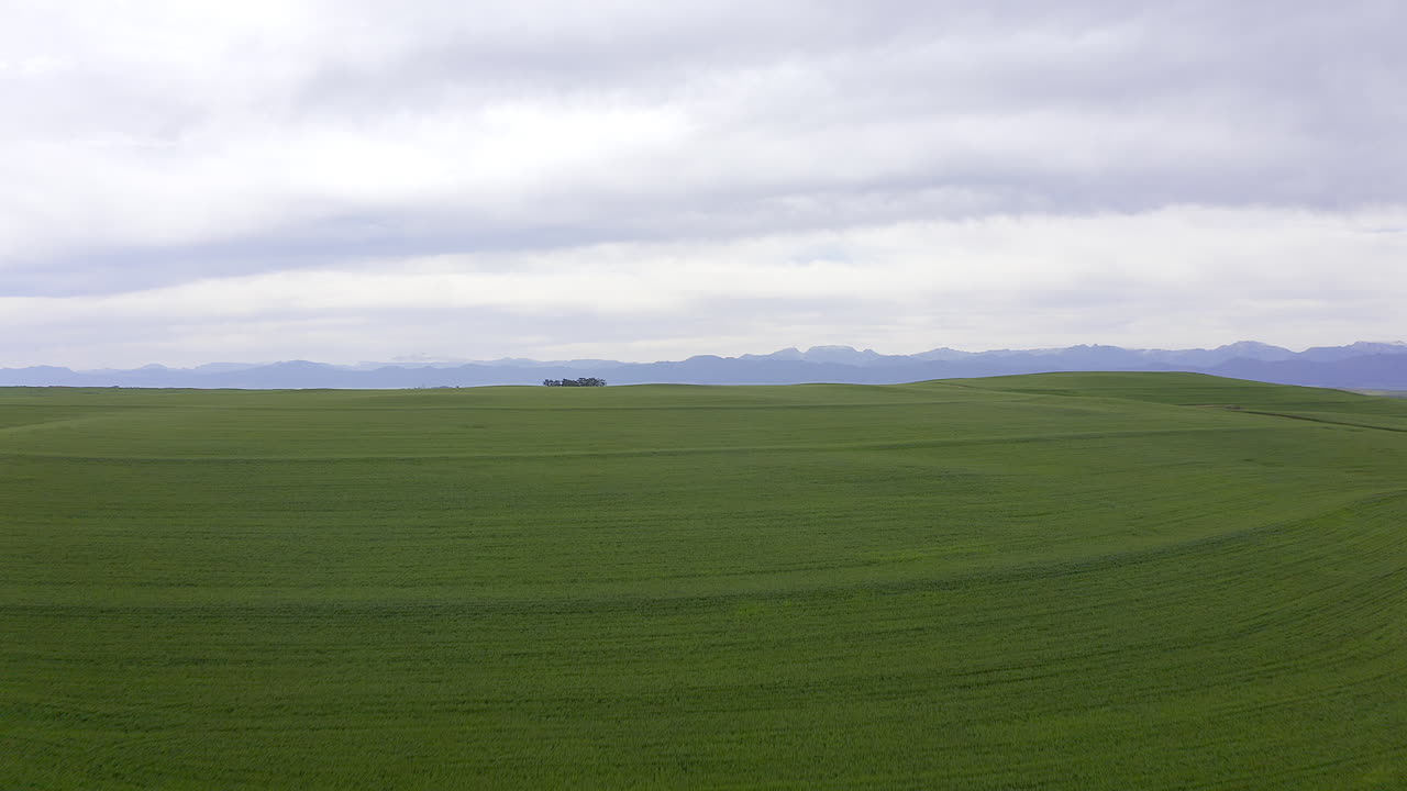 ставит ежедневный хаос жизни в перспективу