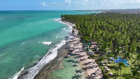 praia de ovelhas em tamandare, em pernambuco, brasil