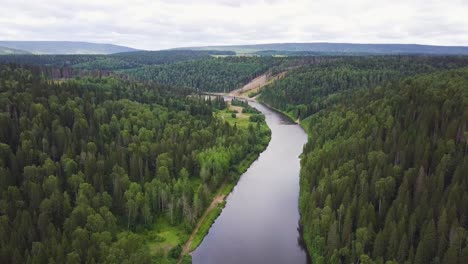 river winding through lush forest landscape