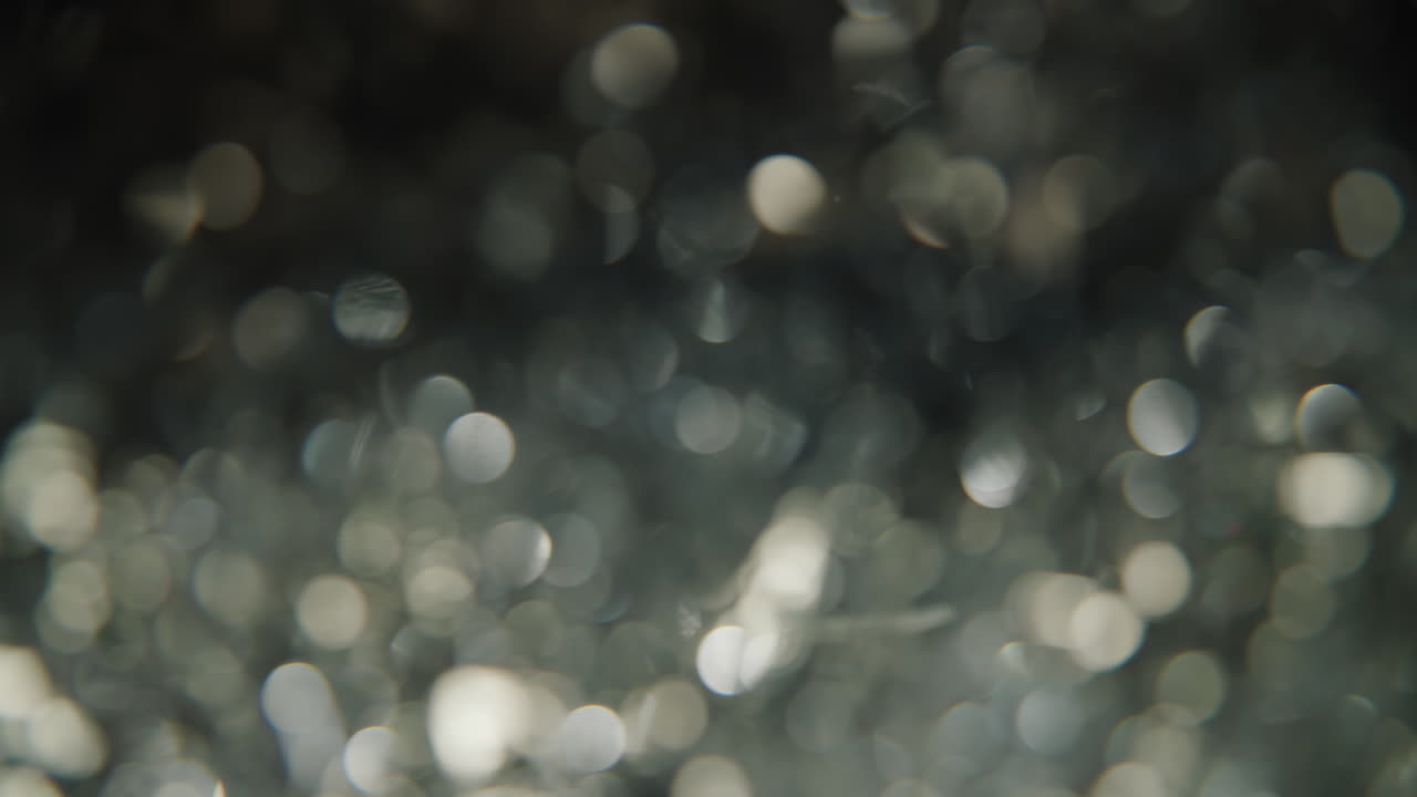 la magia de las vacaciones