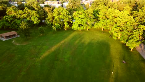 arial drone view of the park green landscape and forest