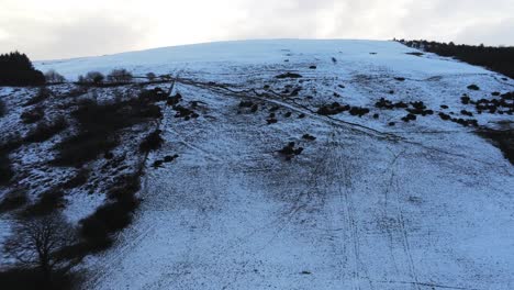 Moel-Famau-Galés-Montaña-Nevada-Valle-Vista-Aérea-Frío-Agrícola-Rural-Invierno-Paisaje-Sartén-Izquierda