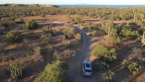 car on dirt road in scrubland