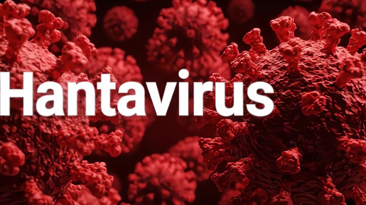 A Detailed Visualization of Hantavirus: Exploring the Intricate Structure of Virus Particles in a Deep Red Background for Educational Purposes