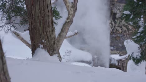 geothermal steam vent erupting from ground in jigokudani, nagano