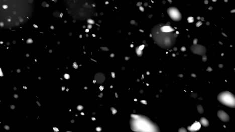 snow particles on black background-1