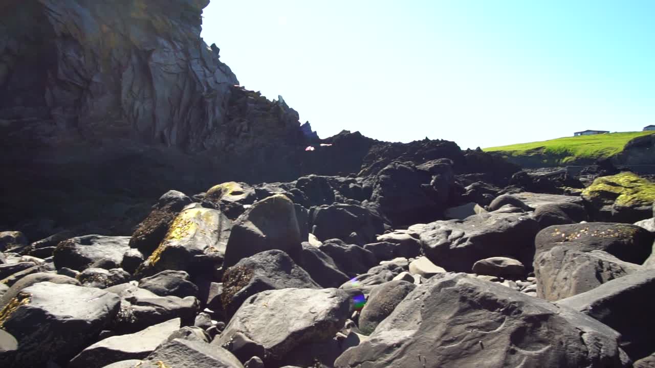 Birds flying in at west fjords of Iceland