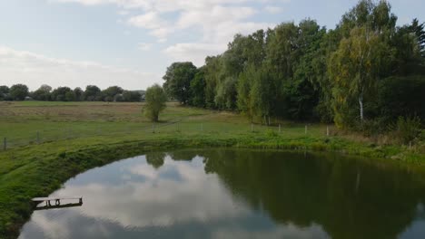 aerial view of a small pond in the village. drone flight, 4k video.