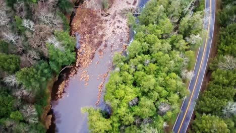 A-drone-quickly-flying-above-bare-trees,-pine-trees,-a-river,-and-a-mountain-road-with-bare-trees,-pine-trees,-and-leaf-litter