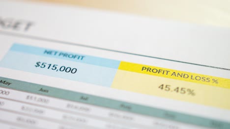 a detailed profit and loss analysis showcasing business performance metrics and financial insights.