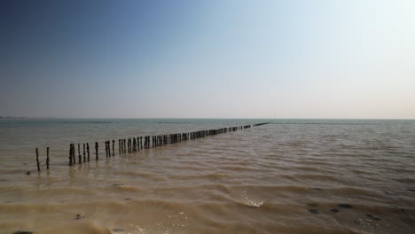 old fish traps posts in sea