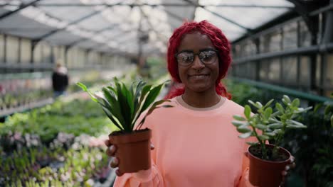encantadora mujer afroamericana caminando con plantas en el invernadero