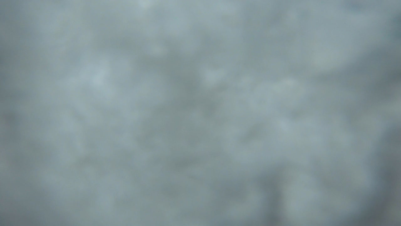 해변에서 자기 초상화를 찍는 행복한 젊은 친구들, 바다의 큰 파도가 에서 셀피를 찍는 웃는 커플들을 고, 해변에서 휴가를 즐기고 즐거움을 느끼는 기쁜 남녀들, 휴식의 개념