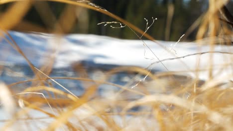 Gefrorener-Fluss,-Der-Im-Frühling-In-Schweden-In-Der-Ferne-Fließt