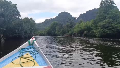 the boat sails on the river through the forest in ramang-ramang village, maros