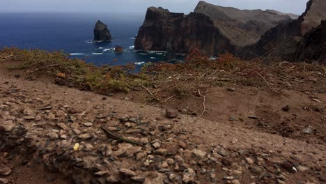 Seascape-timelapse-common-lizards-feeding-on-volcanic-rock-landforms-pigeon-invaded-blue-sky-geology-basalt-magma-breathtaking-amazing-red-lava-rocks-Atlantic-ocean-waves-sea-scene-formation-reptile