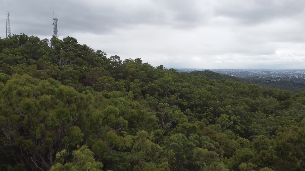 drone descendiendo a la selva mostrando torres de televisión y una gran ciudad en el fondo