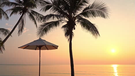 Silueta-De-Palmeras-Y-Sombrilla-Con-Mar-De-Fondo-Al-Atardecer