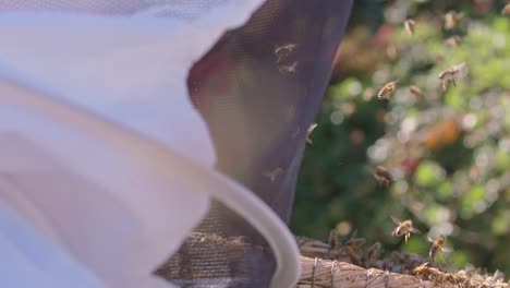 bee keeper working with honey bees on bee hive in spring in slow motion