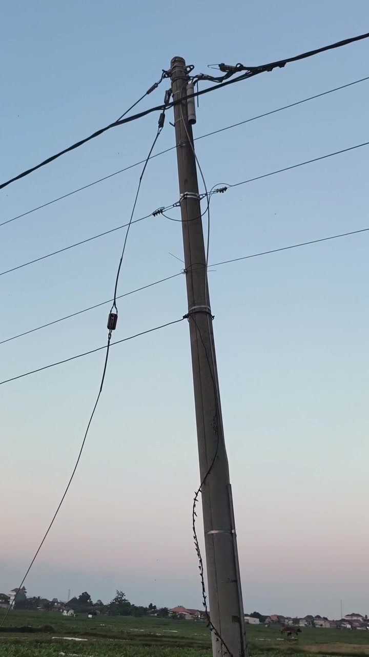 Utility Pole with Power Lines Against a Clear Evening Sky