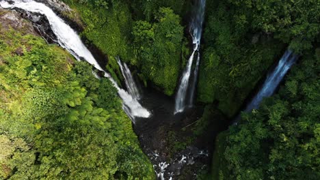 Bali-Fiji-Wasserfall-Im-Grünen-Lebendigen-Regenwald