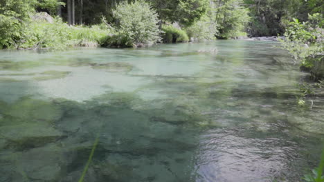 Mountain-stream-with-crystal-water-in-the-Italian-Alps-in-slow-motion-100-fps