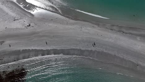 aerial view of a beautiful beach with people