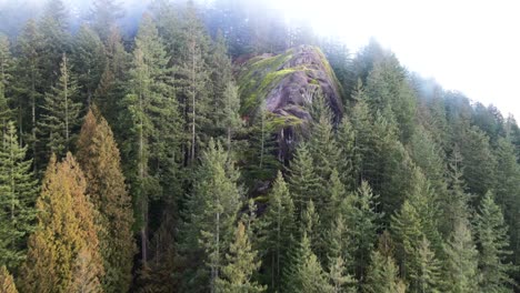 quarry rock on a foggy day in deep cove, north vancouver , scenic shot of the rock surrounded by large trees