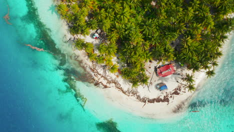 isla de playa con palmeras tropicales rodeada de agua azul clara en las islas de san blas, panamá