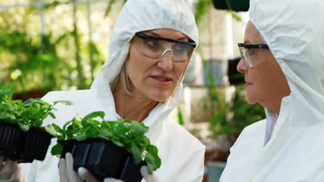 female scientists having discussion on plant