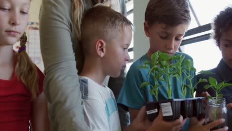 group of kids holding plants in the class