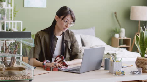 young woman holding her pet snake and working on laptop computer while sitting at table at home