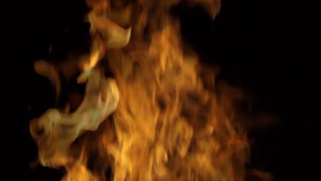fuego de campamento en la noche