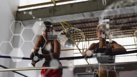 animación de procesamiento de datos y fórmula química sobre diversas mujeres en el ring de boxeo