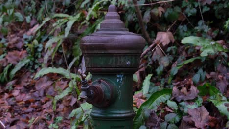 Old-garden-tap-dripping-water-in-a-rural-English-countryside-woodland-garden-park-surrounded-by-brown-leaves-and-green-ferns