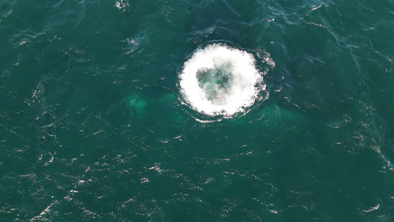 Aerial tops down sea water with gigantic underwater foam of a whale's breath in Chubut, Argentine Patagonia