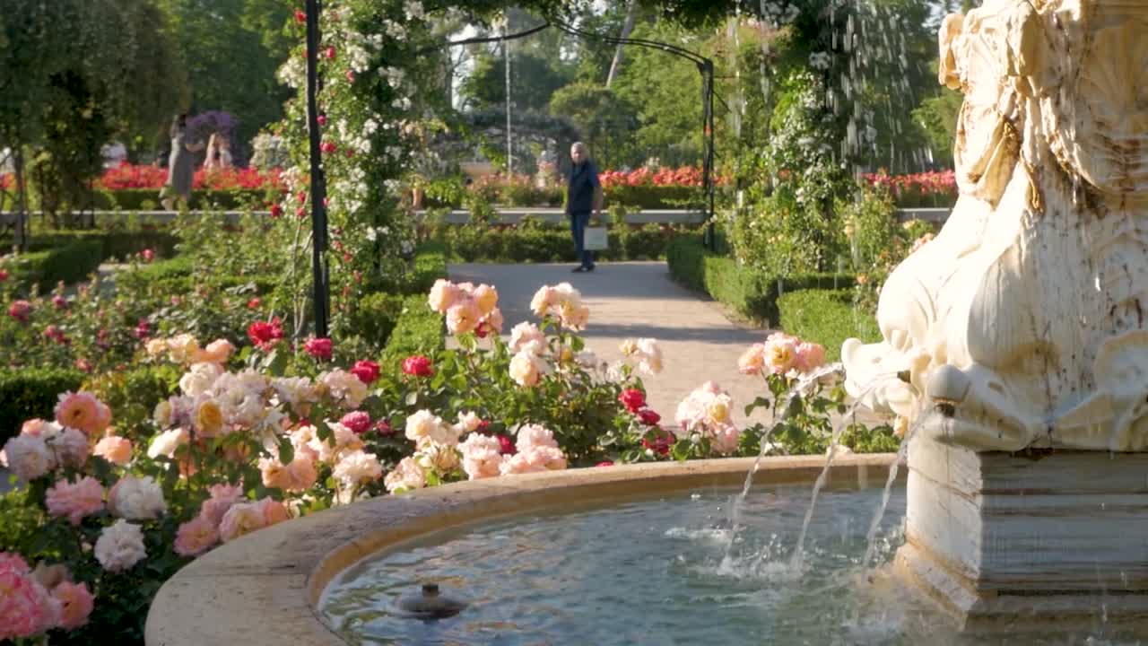 Beautiful Rose Garden with Fountain and Couple