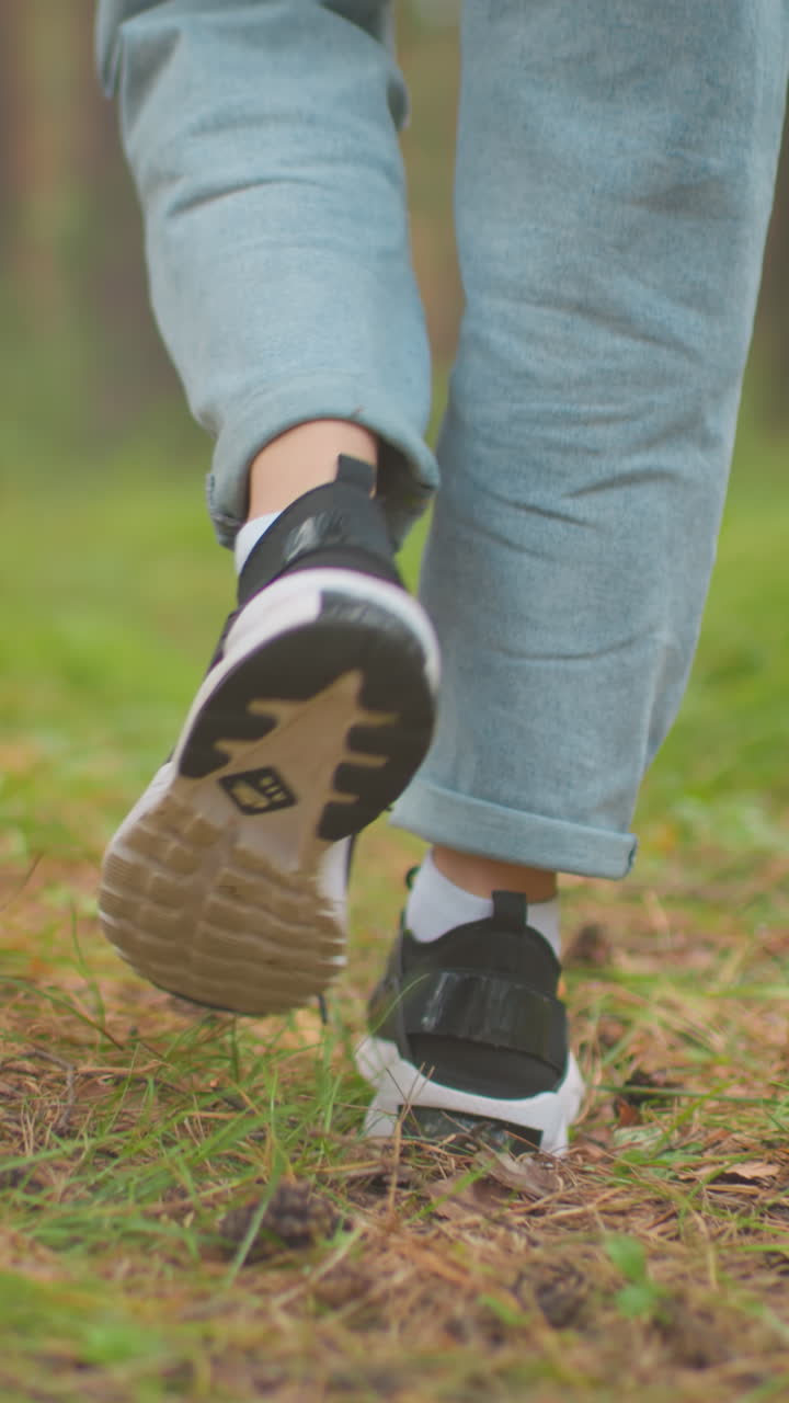 Back view of woman s feet walking through a serene forest path, wearing black sneakers and light jeans, surrounded by lush greenery, the ground is covered with small plants