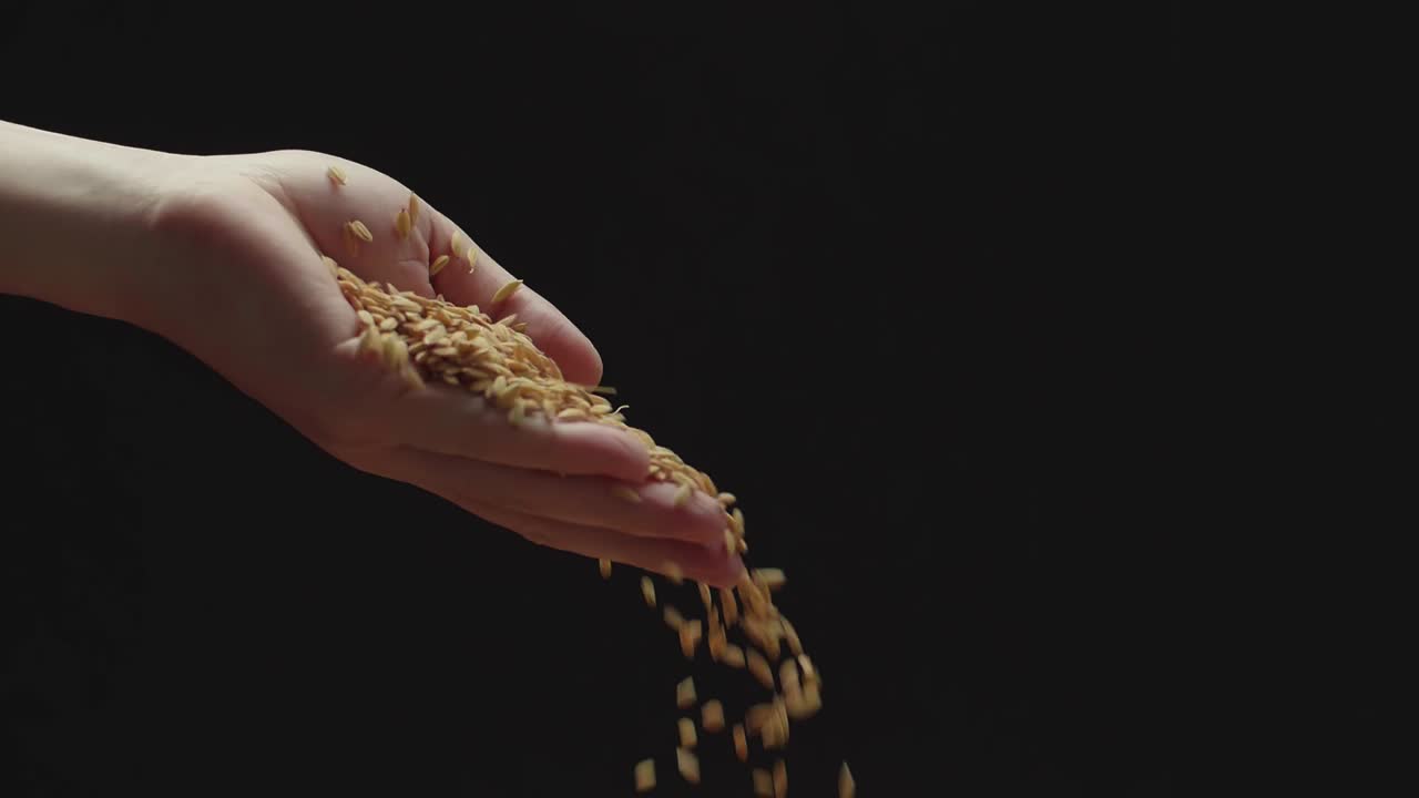 Hand Pouring Rice Grains Flies Down In Slow Motion, Against Camera Black Background