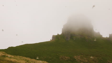 Hornstrandir-peninsula-in-Iceland-under-fog-with-flock-of-birds-flying-by