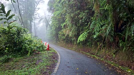 pov move at cement road in the misty rainforest in morning. fun driving along narrow road in foggy tropical jungle. fraser's hill, malaysia