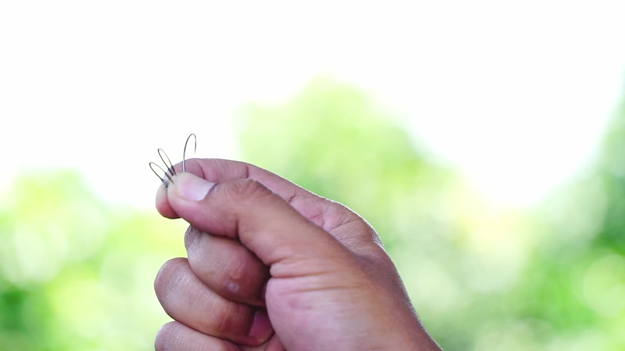 카메라에 보이는 손으로 잡은 시 갈고리