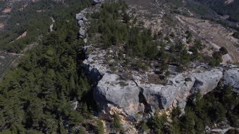 Forest-Landscape-With-Drone-On-Plateau