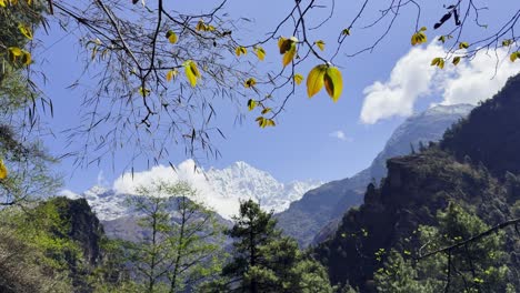 experience the beauty of nature with blue skies, snow-covered peaks, and vibrant green forests in perfect harmony.