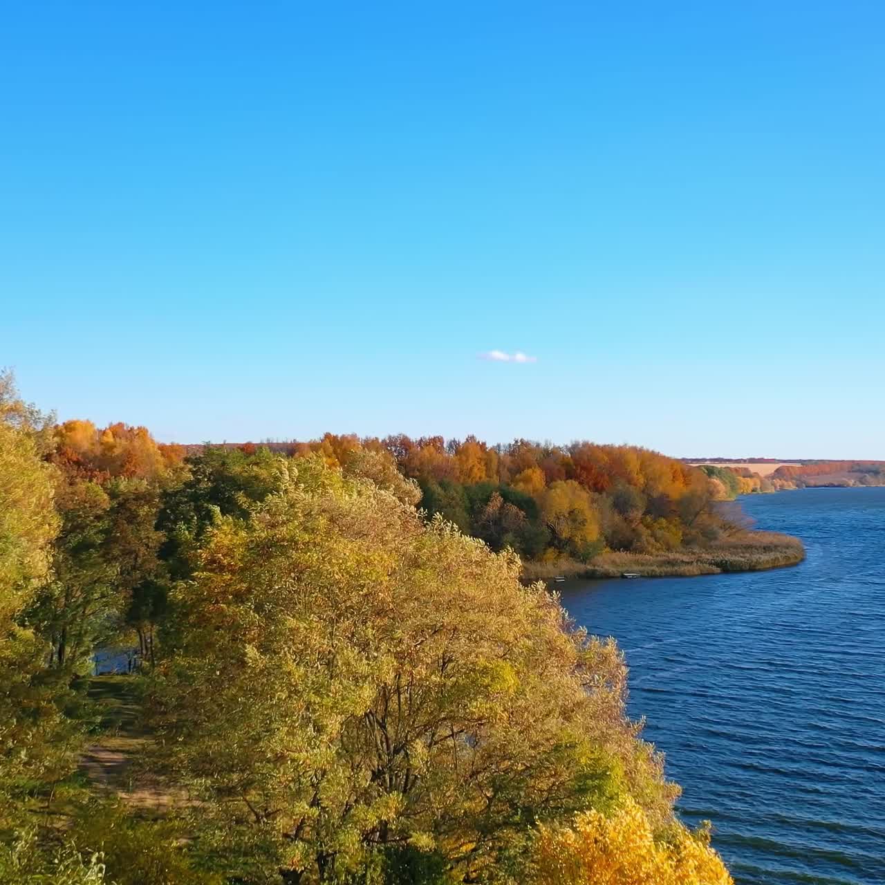 Beautiful autumn nature landscape. Flying above dark blue river and regular trees. Drone footage of autumn scenery
